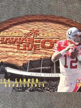 2001 Fleer Genuine Hawaii Live O #7 Rich Gannon Football Card